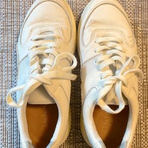 Everlane Cream Sneakers 8